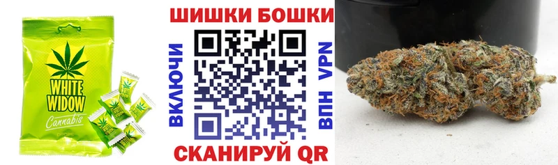 Canna-Cookies конопля Дорогобуж