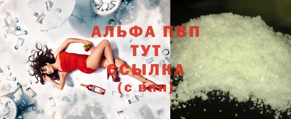 гашик Ладушкин