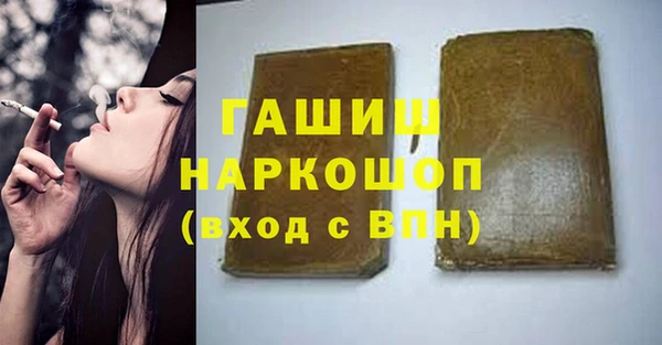 гашик Ладушкин