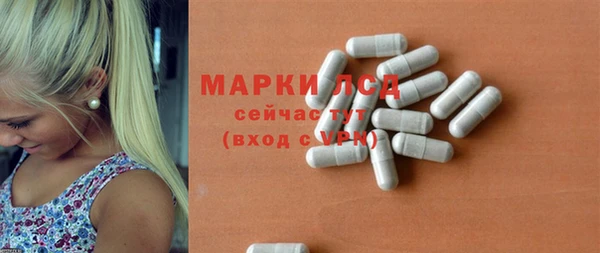 шишки Лагань