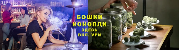 гашик Ладушкин