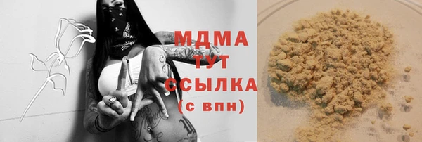 гашик Ладушкин