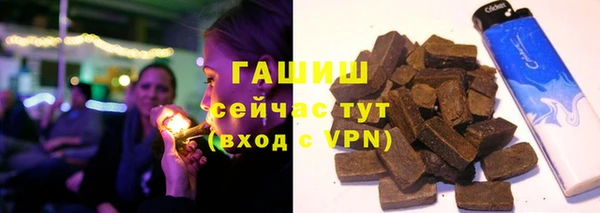 гашик Ладушкин