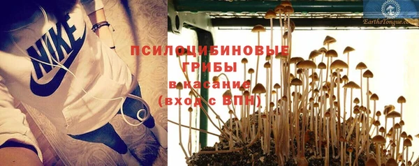2c-b Лабытнанги