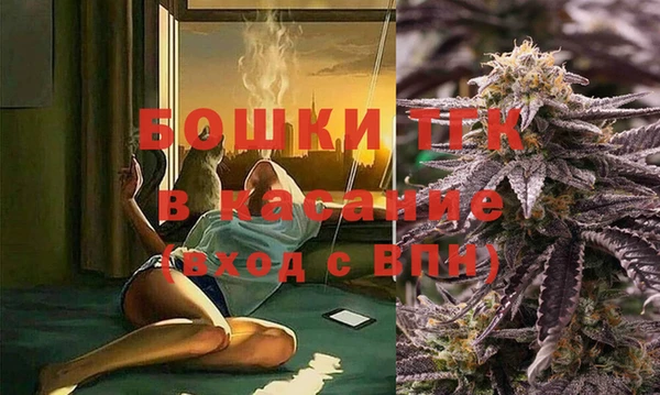 гашик Ладушкин